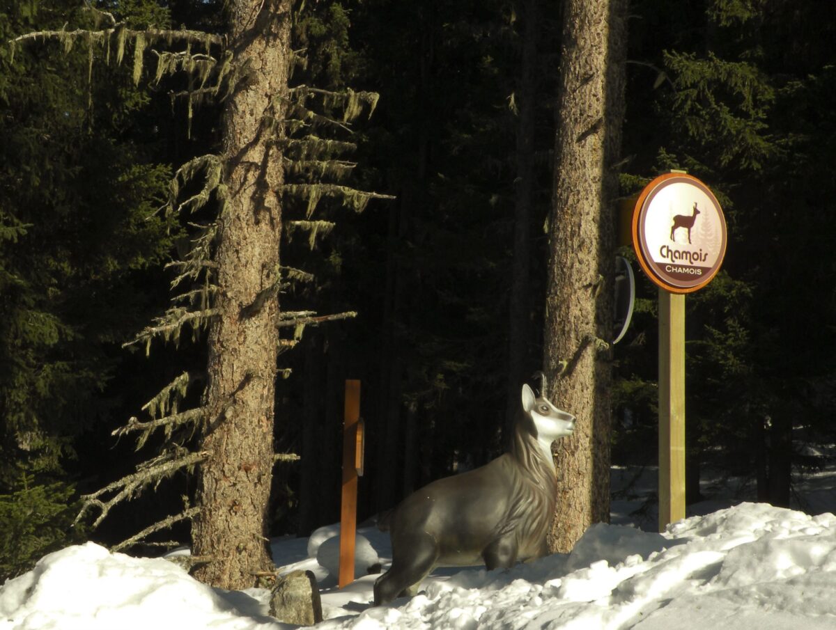 animal piste in meribel Altiport area 